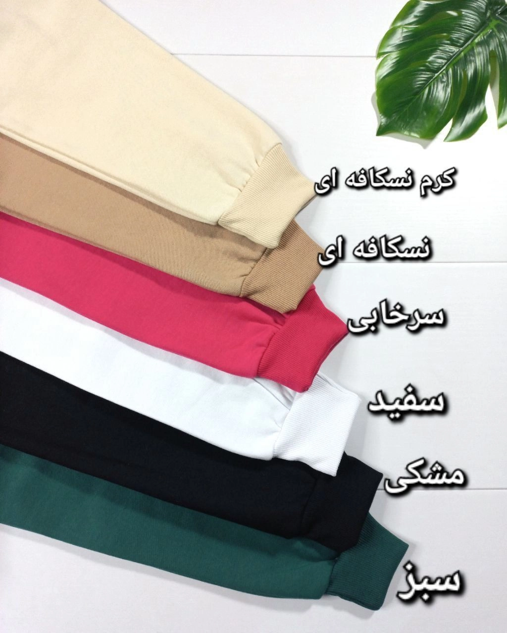 هودی پنجه و قلب